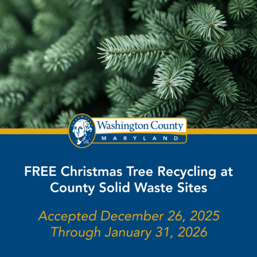 Washington County Offers Free Christmas Tree Recycling for Residents