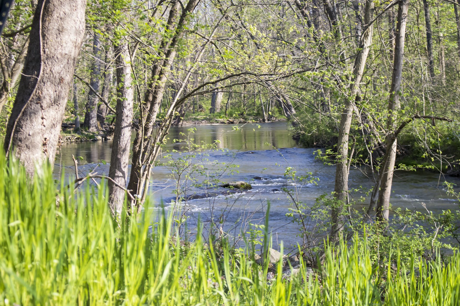 Antietam Water Trail