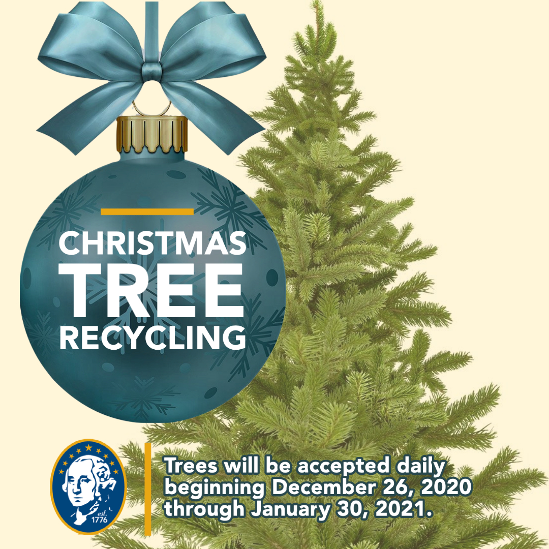 Free Christmas Tree Recycling at County Solid Waste Sites Washington