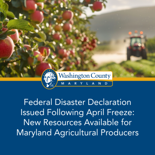 Federal Disaster Declaration Issued Following April Freeze: New Resources Available for Maryland Agricultural Producers