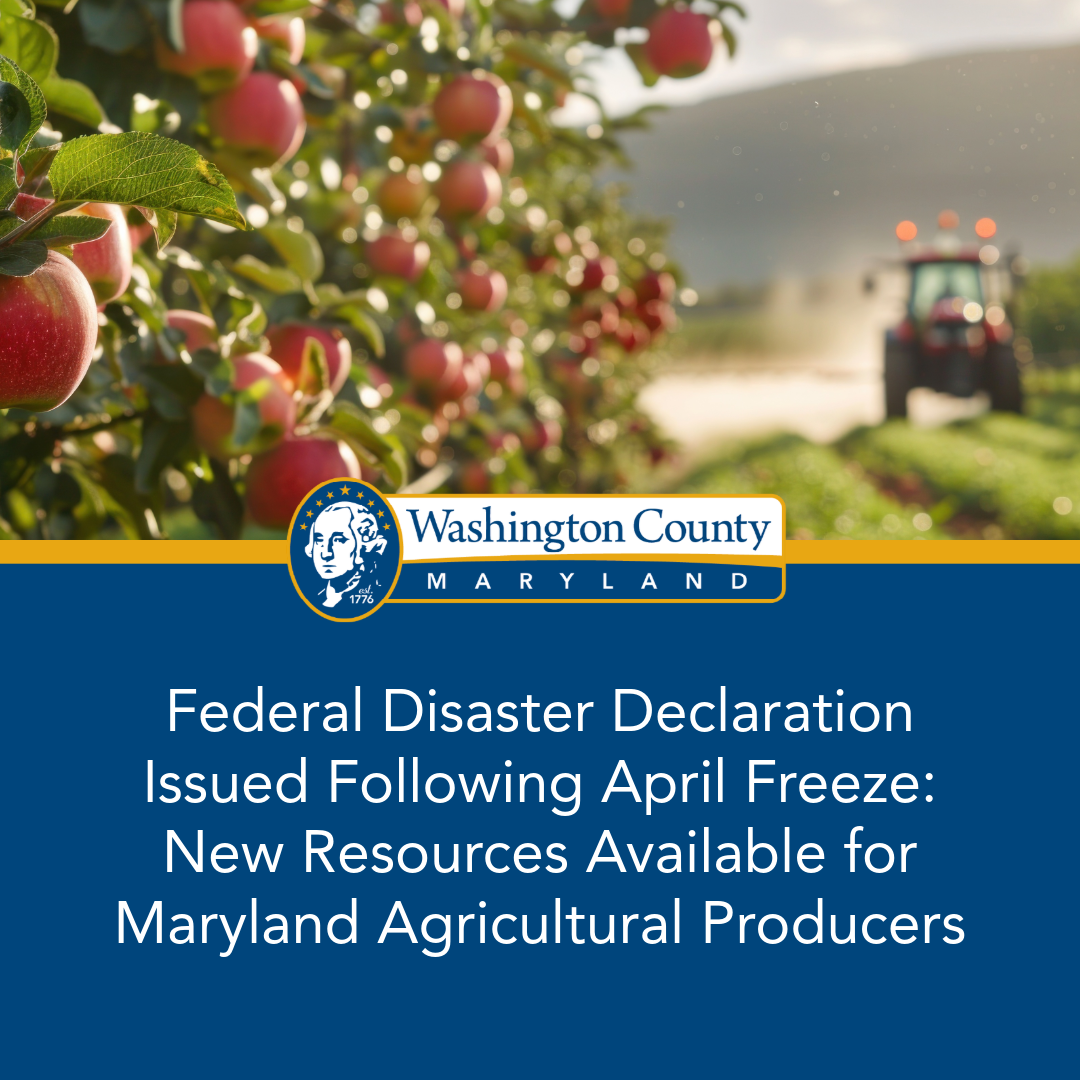 Federal Disaster Declaration Issued Following April Freeze: New Resources Available for Maryland Agricultural Producers