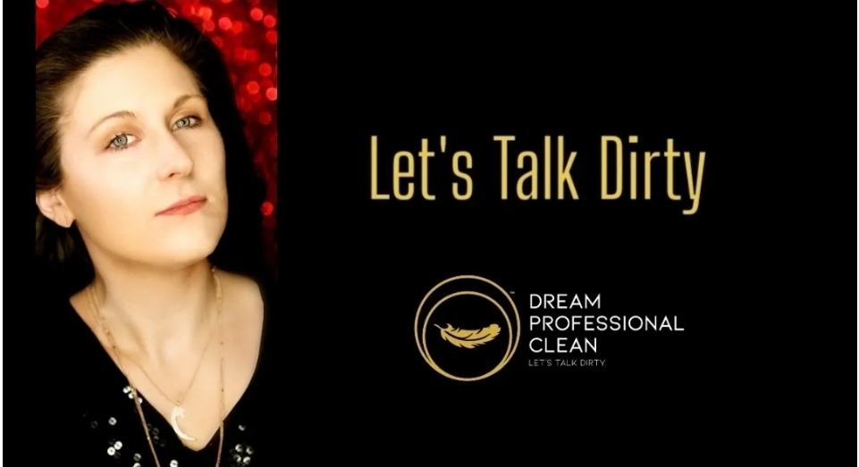 Dream Professional Clean logo