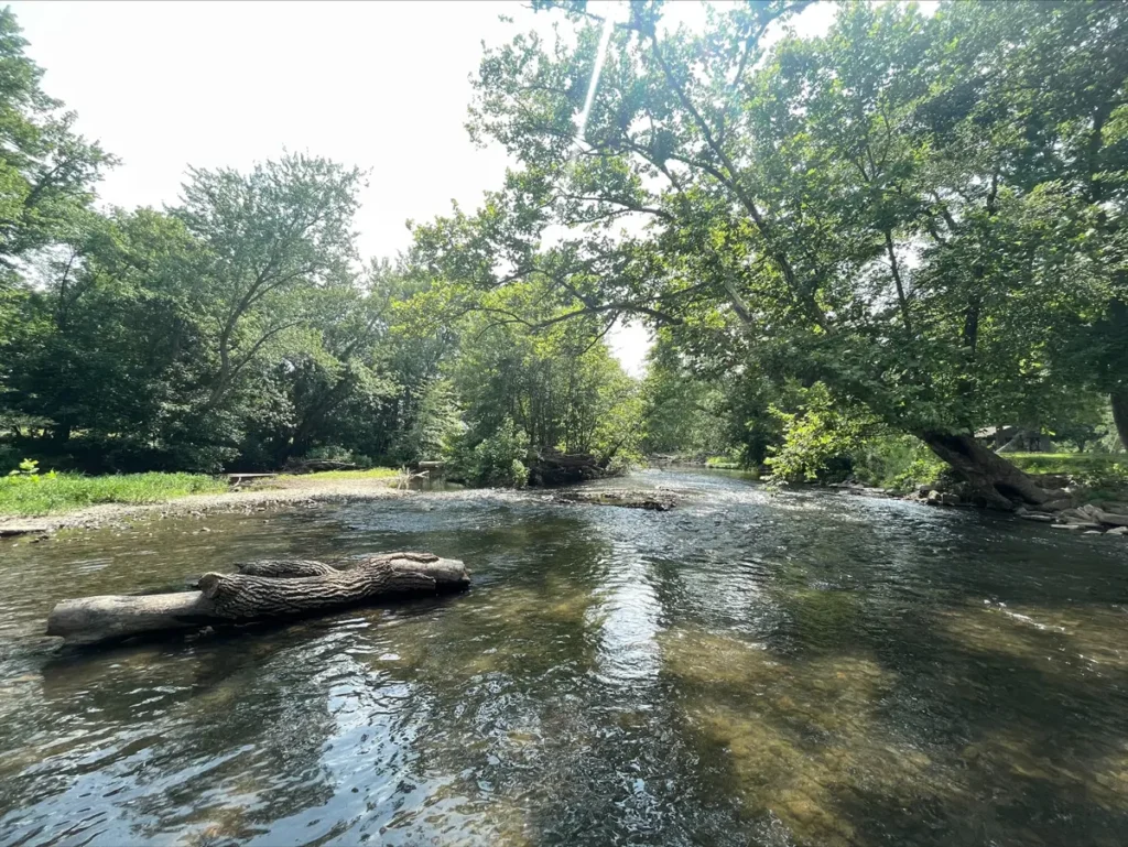 Photo of creek at Camp Harding Park