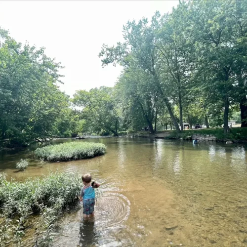 Photo of creek at Camp Harding Park