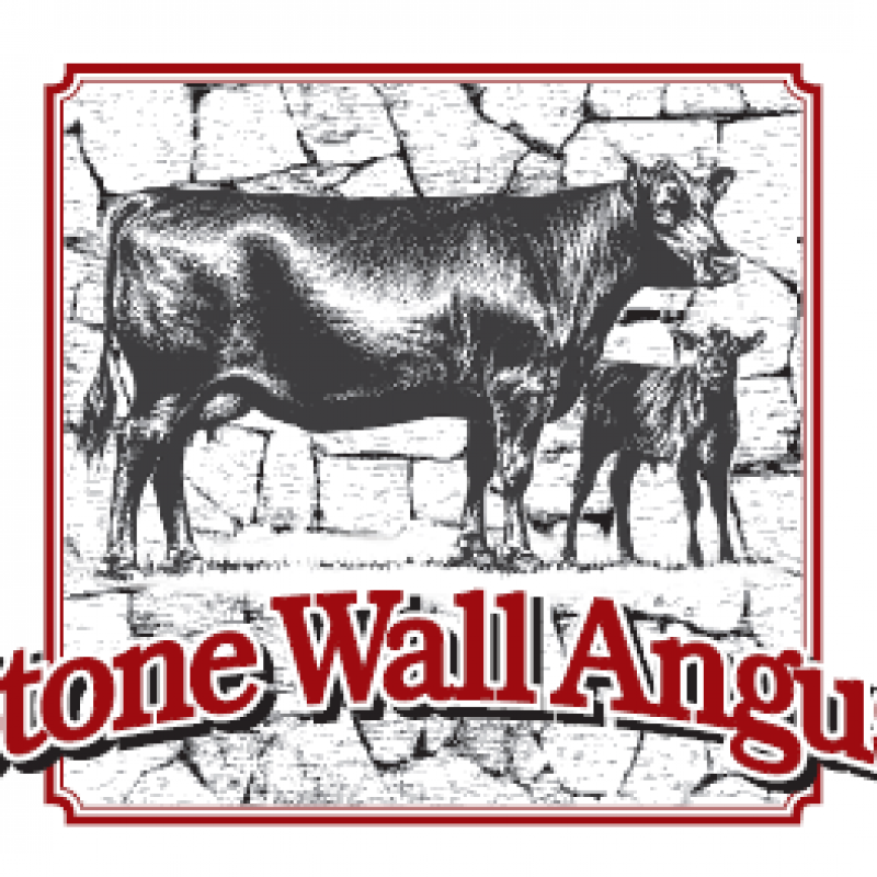 6036945437d60 Stone Wall Angus logo