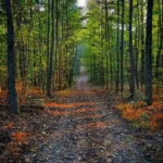 Photo of Fall scenery in Washington County