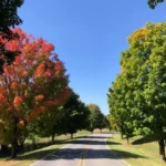 Photo of Fall scenery in Washington County