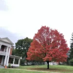 Photo of Fall scenery in Washington County