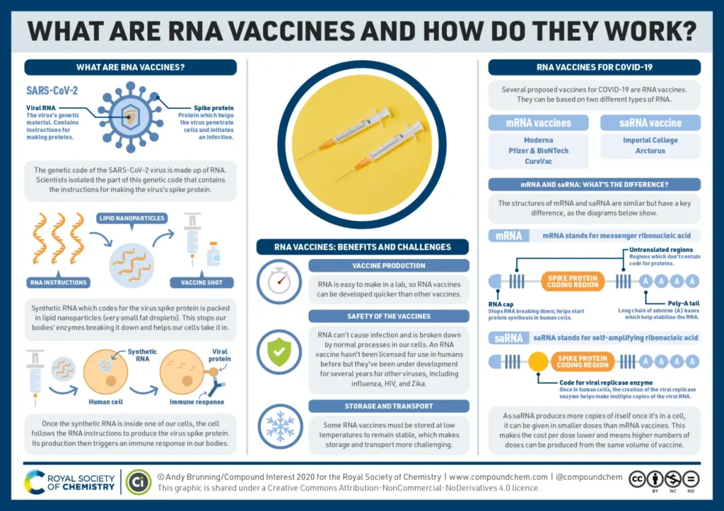 What are RNA Vaccines and How do They Work Infographic