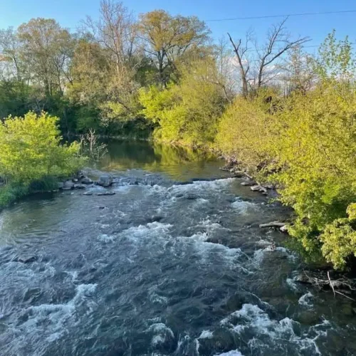 Photo of water at Roses Mill Park