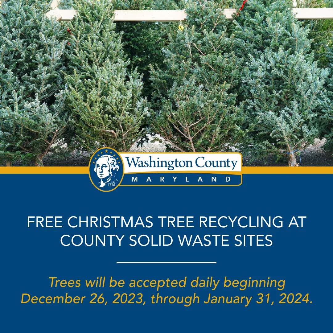 Free Christmas Tree Recycling at County Solid Waste Sites Washington County